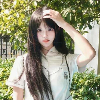 巨齿鲨